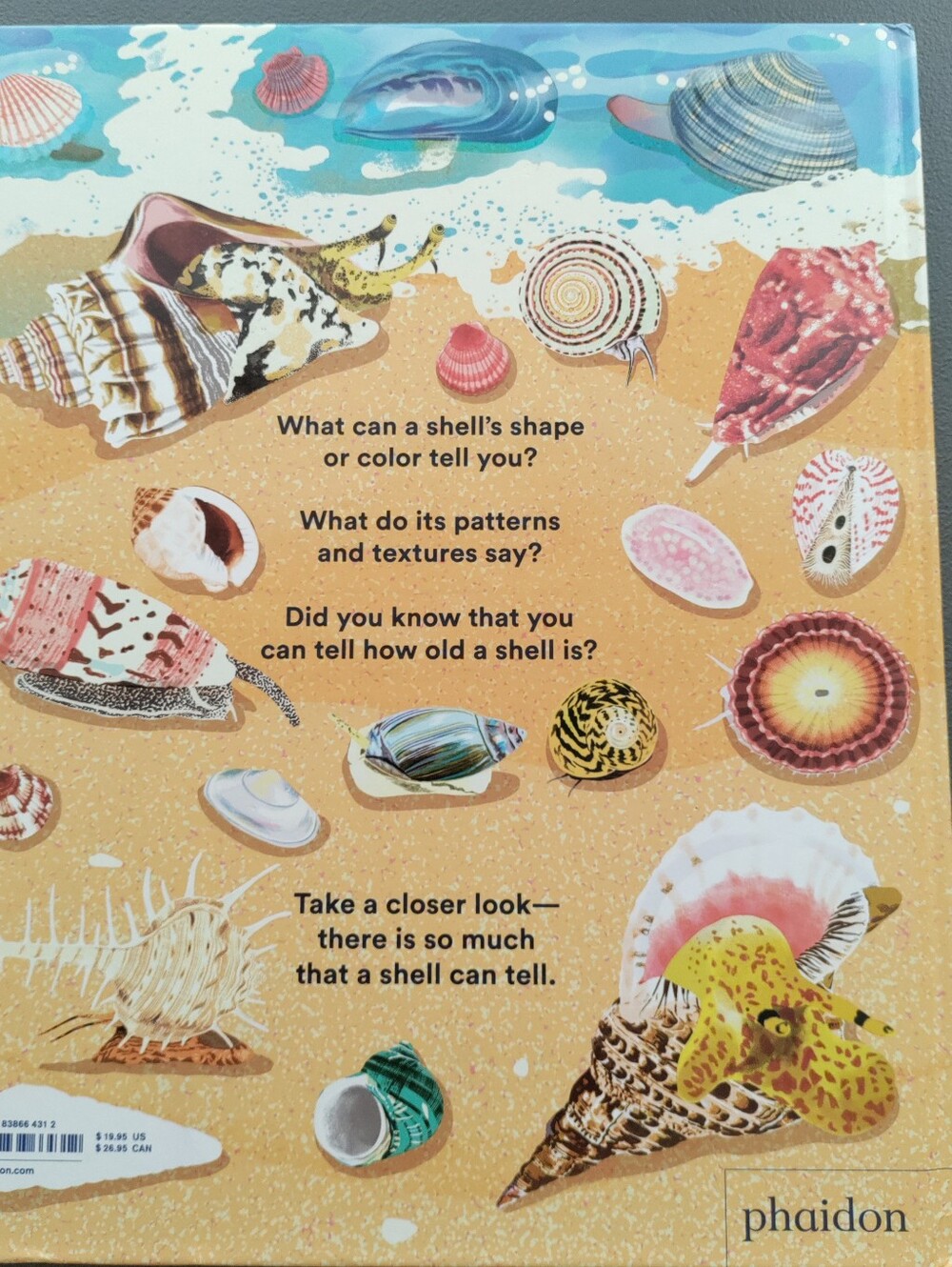 What a Shell Can Tell - Picture 4 of 16